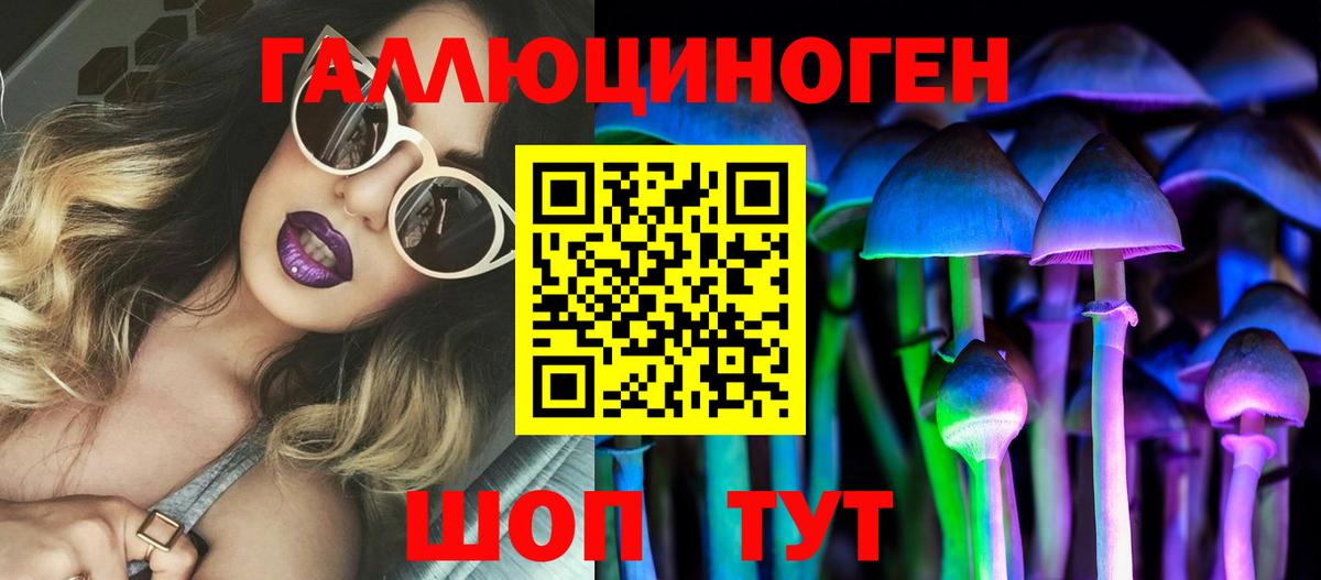 Галлюциногенные грибы Psilocybine cubensis  Вход с VPN  Ликино-Дулёво 